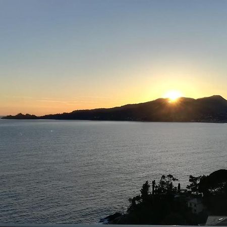 佐阿利Una Conchiglia Sul Mare Attico Vista Portofino公寓 外观 照片