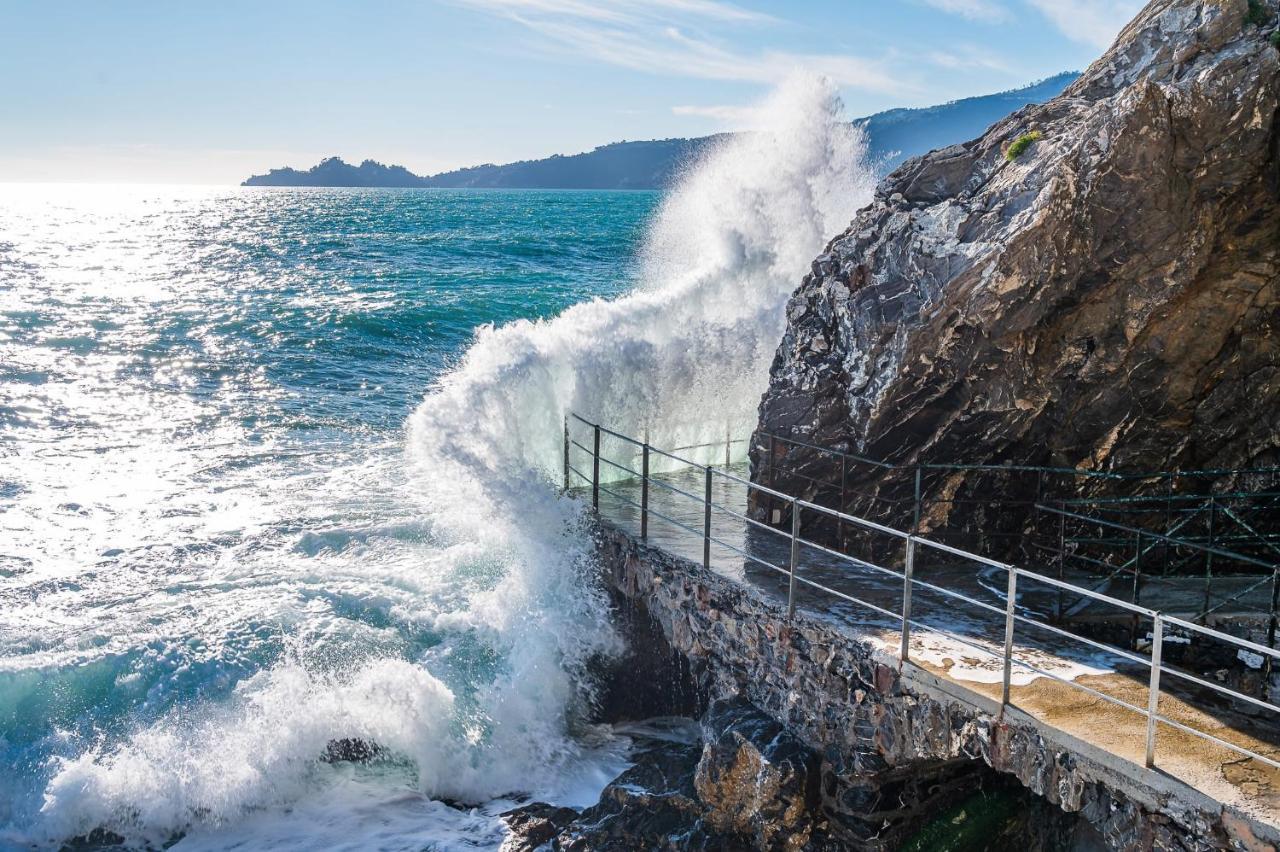 佐阿利Una Conchiglia Sul Mare Attico Vista Portofino公寓 外观 照片